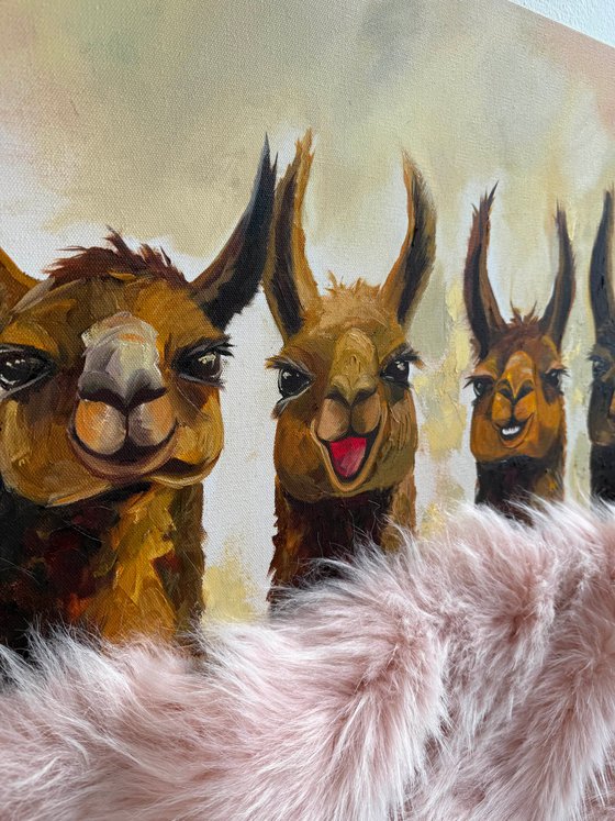 Five Friendly Alpacas