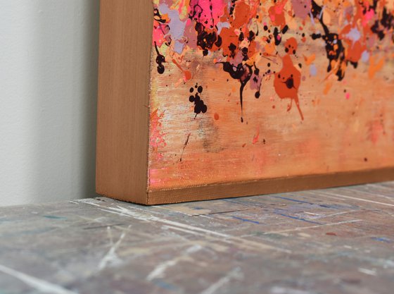 Sunkist Coral 1