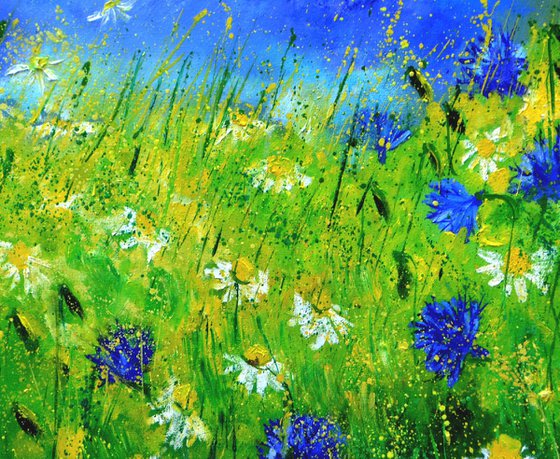 Cornflowers and daisies