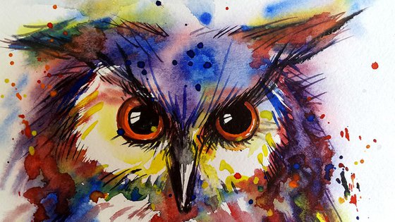 Expressive owl