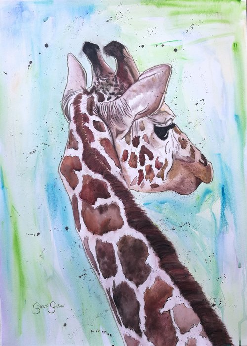 Elegant Giraffe by Steven Shaw