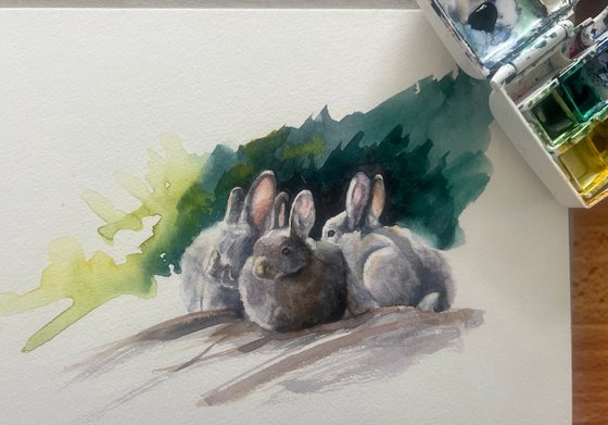 Rabbits at Rest