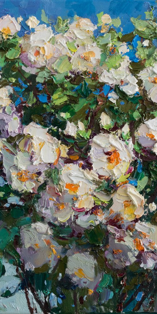 White roses by Anastasiia Valiulina
