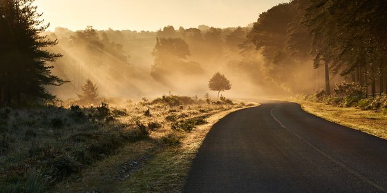 Sun rays on a natural stage