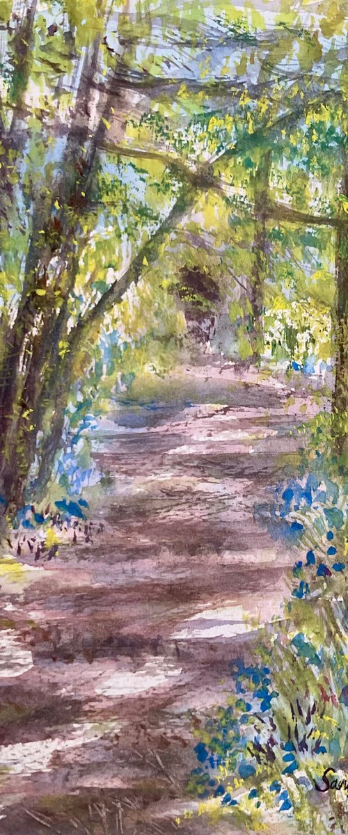 In the bluebell wood by Samantha Adams