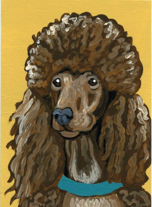 Brown Poodle by Carla Smale