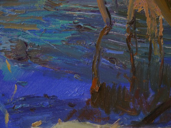 A bay on the Desna River