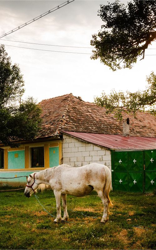 Viscri, Transylvania by Tom Hanslien