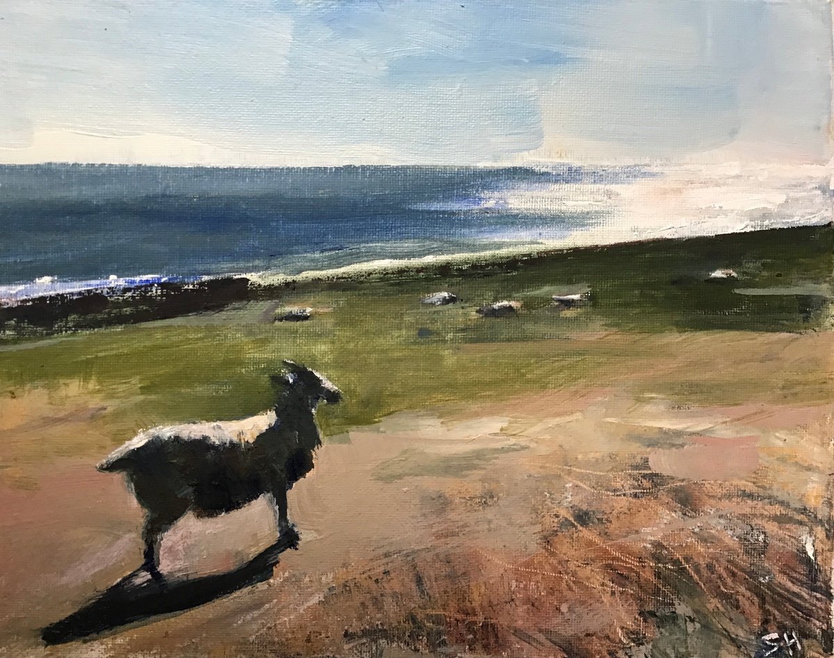 Impressionistic Landscape Oil Painting By Sandra Haney, 12 X 9", Northumberland Sheep, Original Artwork