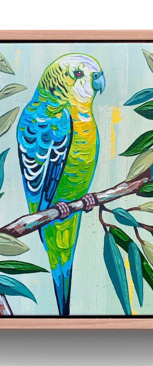 Budgie Beauties: Tango by JULIE LYNCH