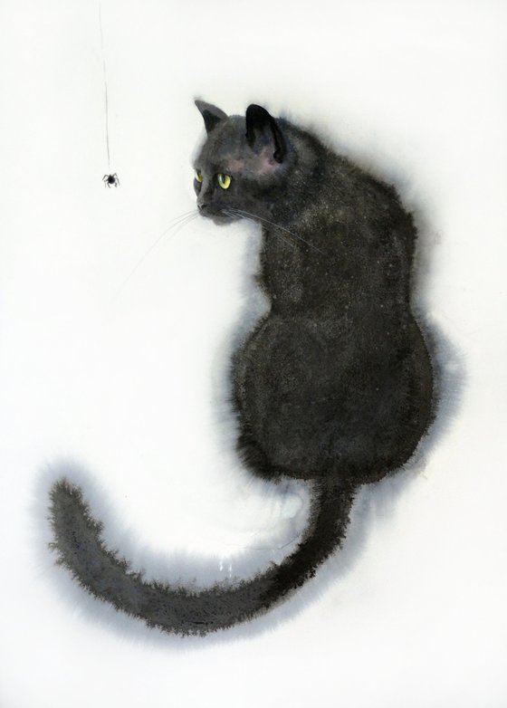 Black Cat and Spider