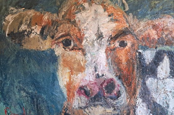 Cow