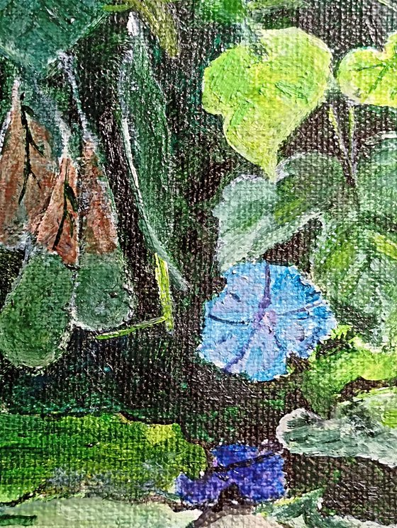 Blue waterlily flower