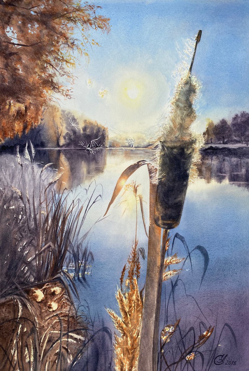 Sun in the Reeds by Alla Semenova