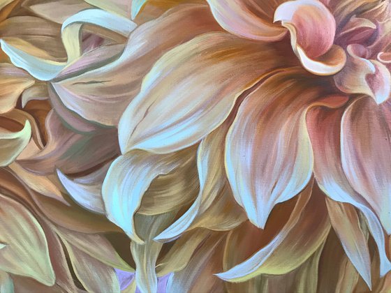 Dahlias “ Cafe au Lait “