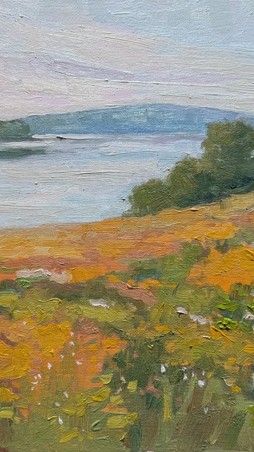 Coastal Meadow by Lisa Kyle