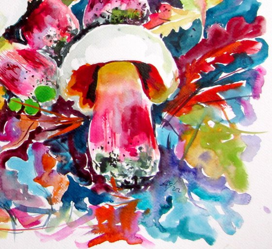 Mushrooms  Boletus satanas