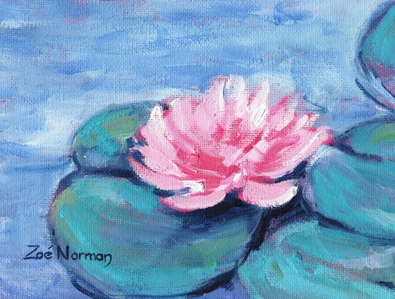Pink Waterlilies