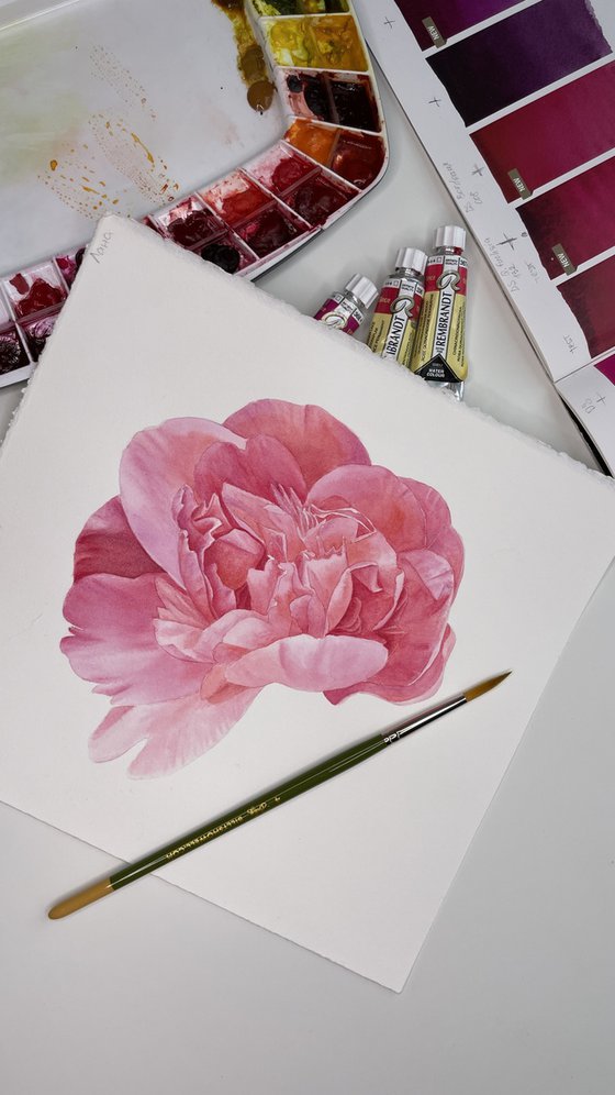 Pink Peony in frame