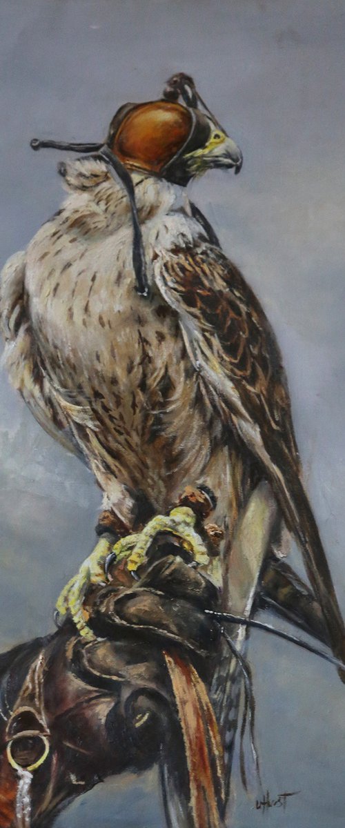 Saker falcon bird of prey by Una Hurst