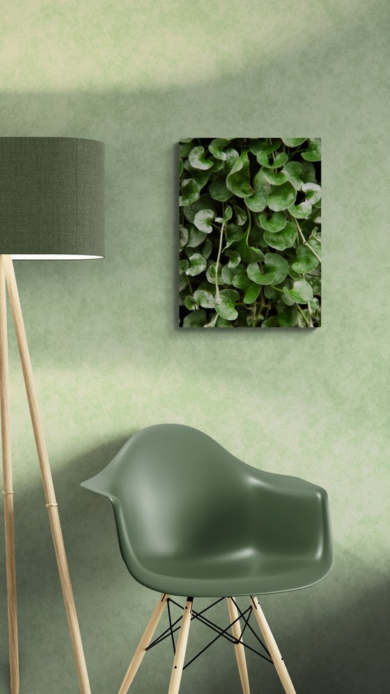 Green Pattern