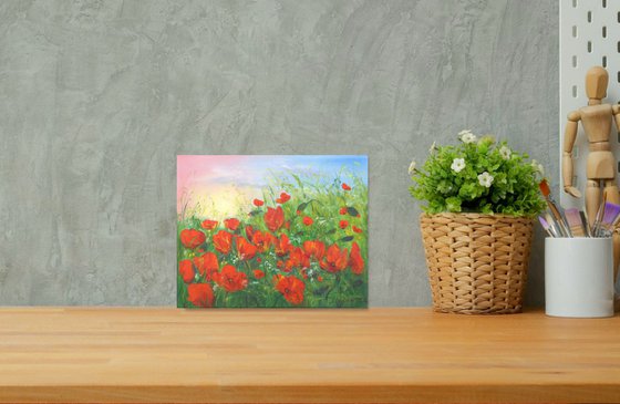 Poppy field in summer 3