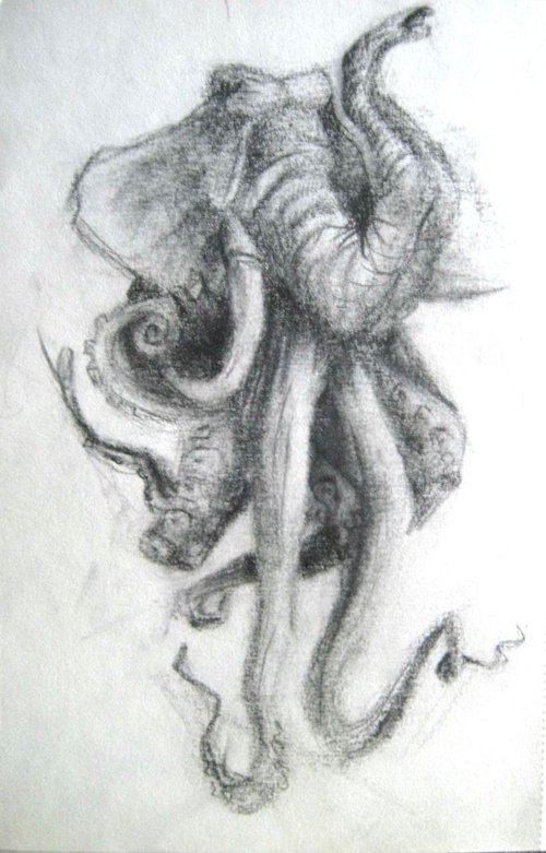 Octophant the sketch by Anamaria