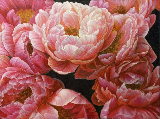 Red peonies on dark background