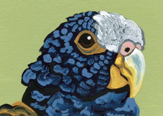 ACEO ATC Original Miniature Painting White Capped Pionus  Parrot Pet Bird Art-Carla Smale