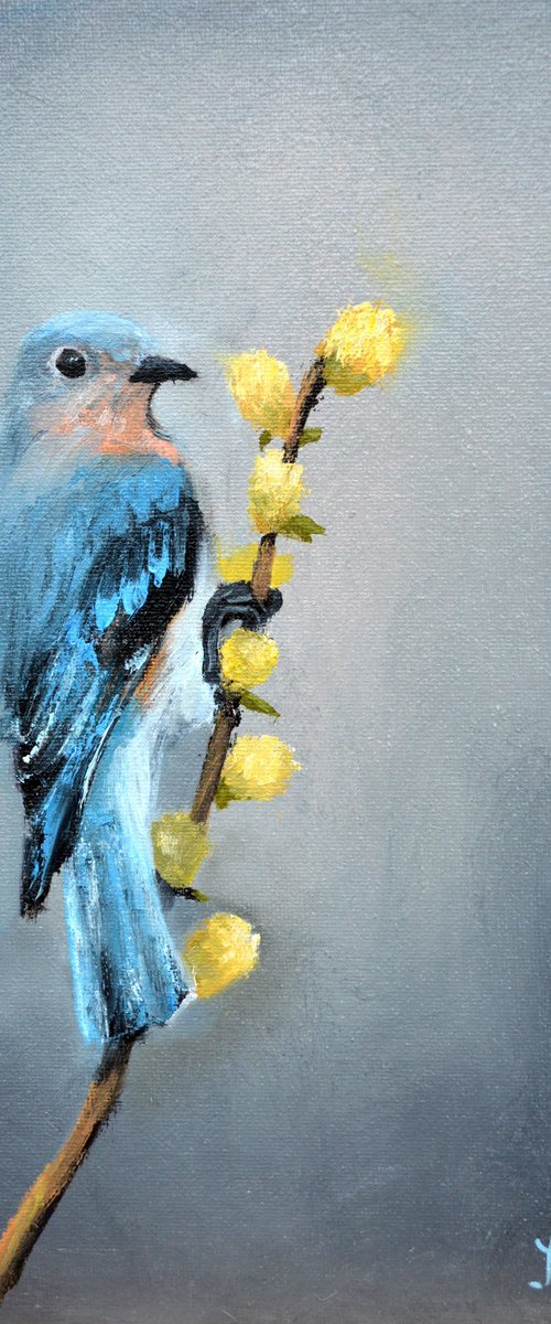 Bird on the willow by Elena Lukina