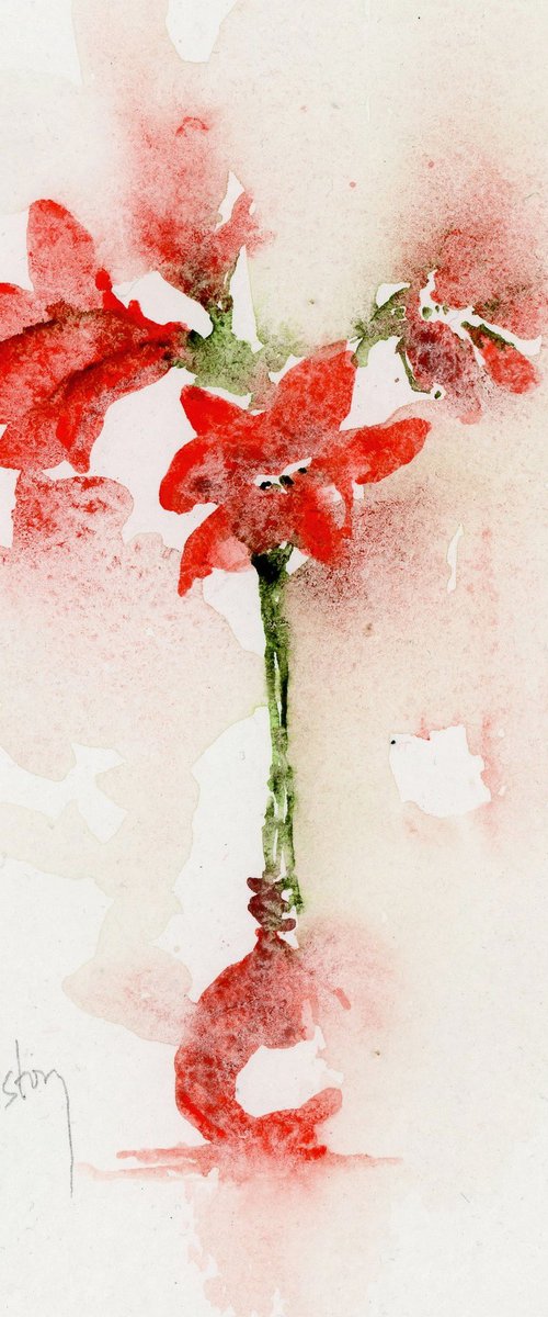 Amaryllis by Alex Tolstoy