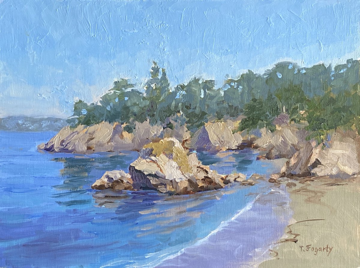 Beach On Granite Point Trail In Point Lobos by Tatyana Fogarty