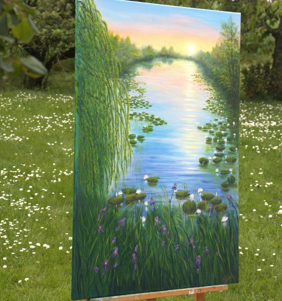 Water lily pond