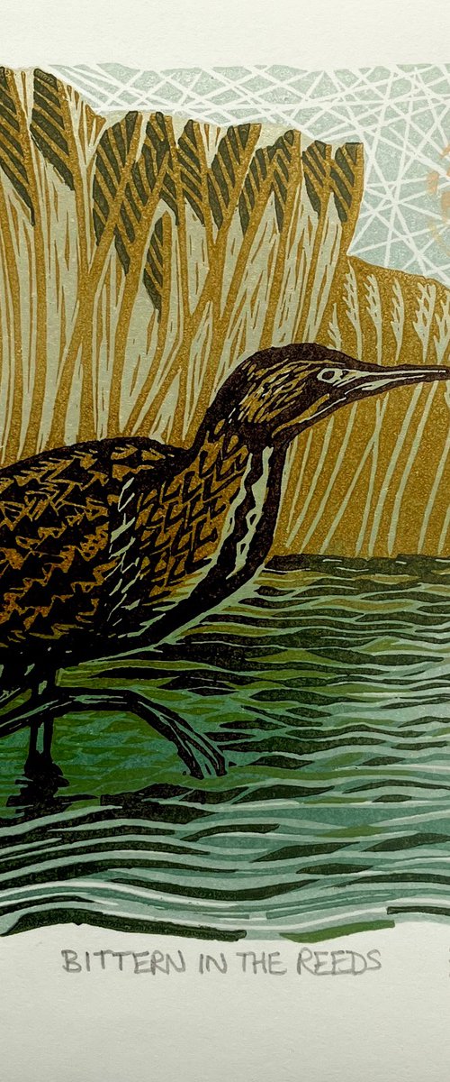 Bittern in the Reeds by Helen Maxfield