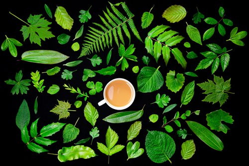 Tea Leaves by Paul Nash