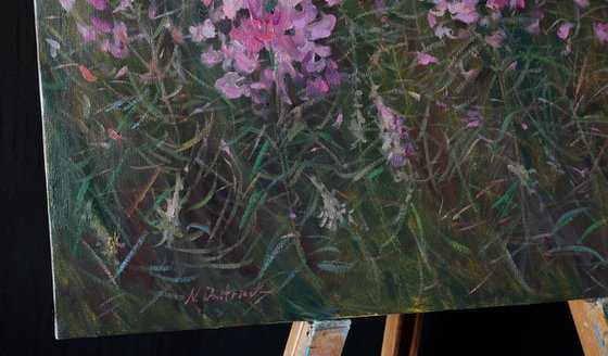 Sunset Over The Fireweed Field - summer painting landscape