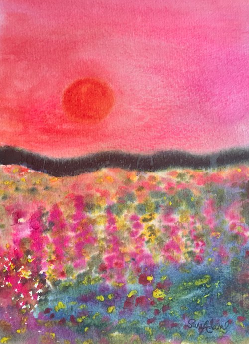 Sunset in June by Samantha Adams
