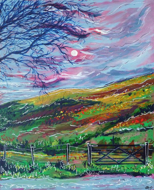 Brecon Beacons by Laura Hol