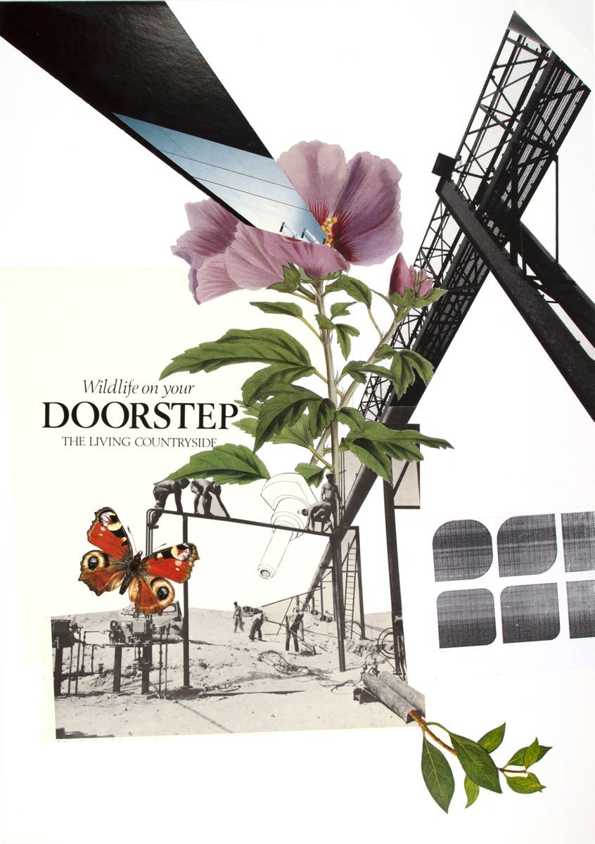 Botanical Collage By Benjamin West, 11 X 17, Wildlife On Your Doorstep, Original Artwork