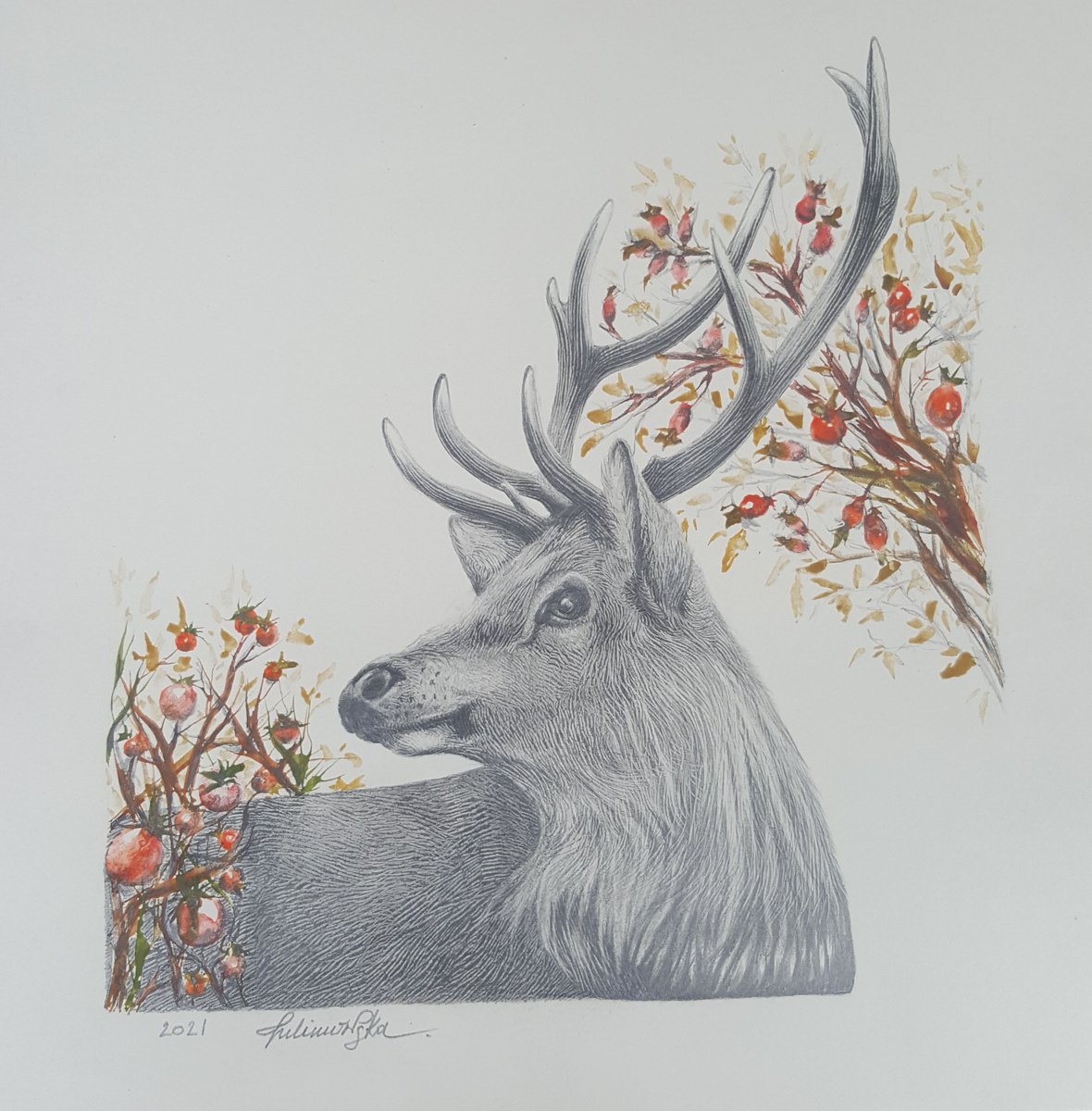 Winter Deer by Maja Tulimowska - Chmielewska