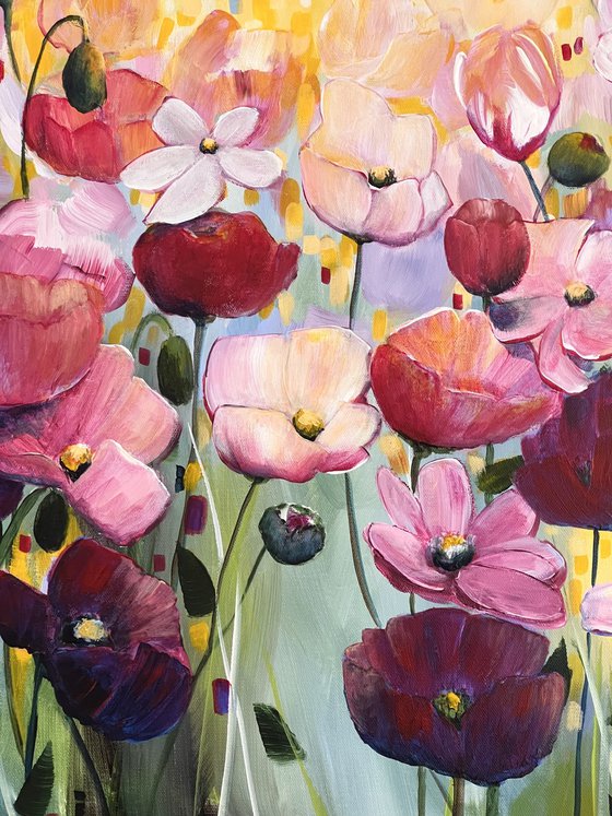 Poppies Land 3