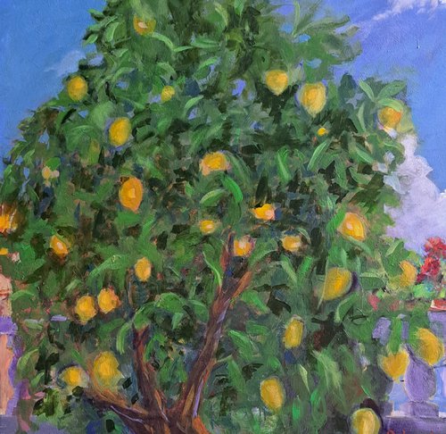 The lemon tree by Rosalind Roberts