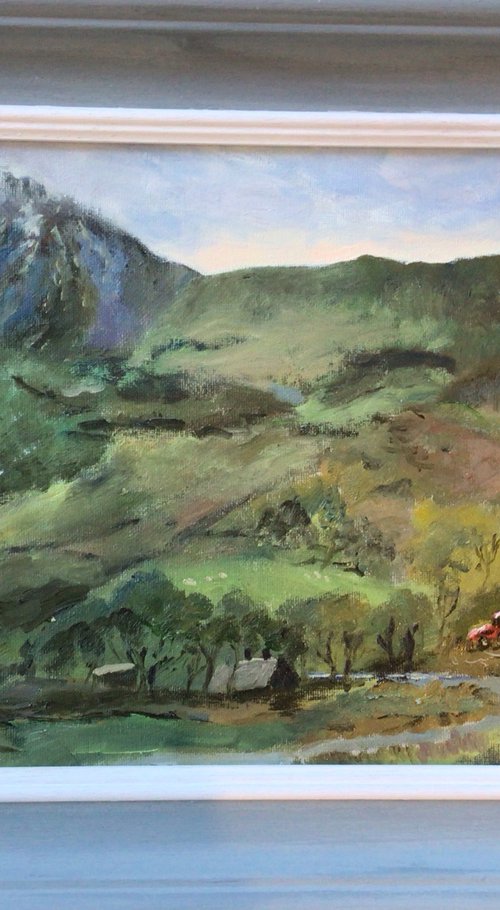 Cadir Idris mountain painting by Julian Lovegrove Art