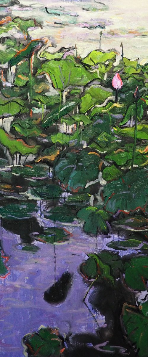 Lotus leaves by Yuanyuan Liu