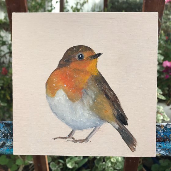 Robin