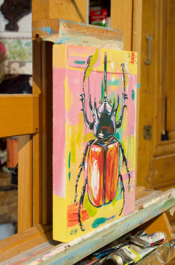 Five horned rhino beetle