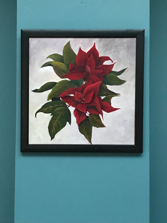 Poinsettia - Framed
