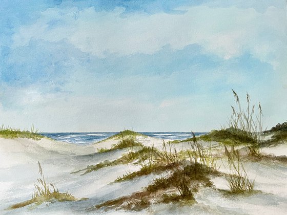 Beach Beyond the Sand Dunes