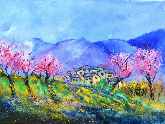 Blooming cherry trees in Provence