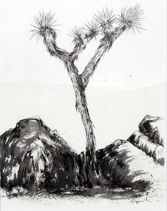 Joshua Tree